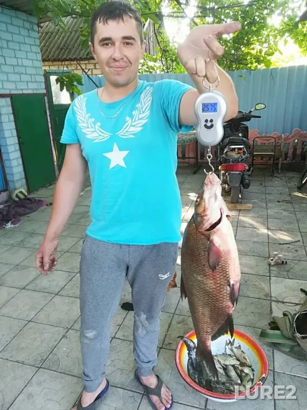 Лещ