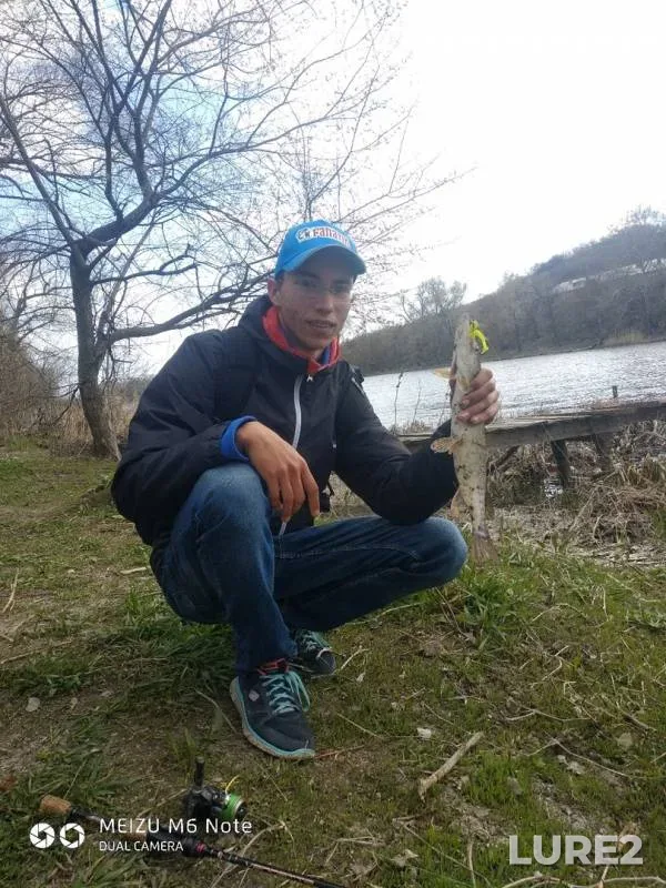 Щука