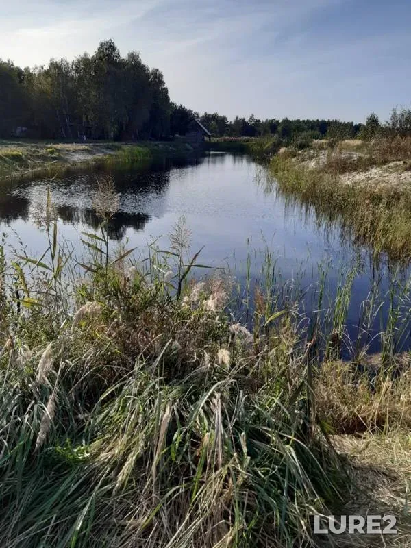 Карп, Карась — Раково, 19 сент. 2020 г.