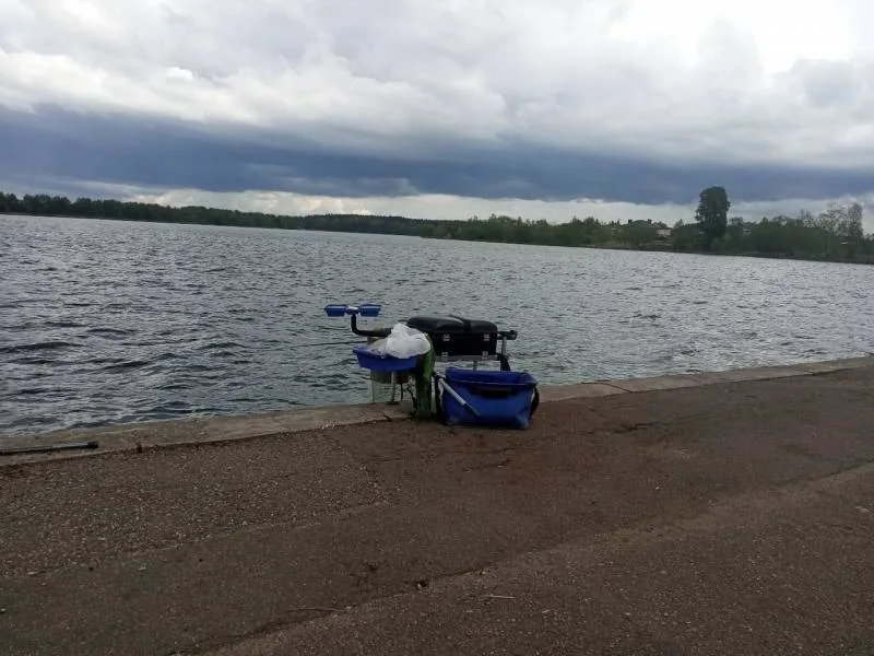 Плотва