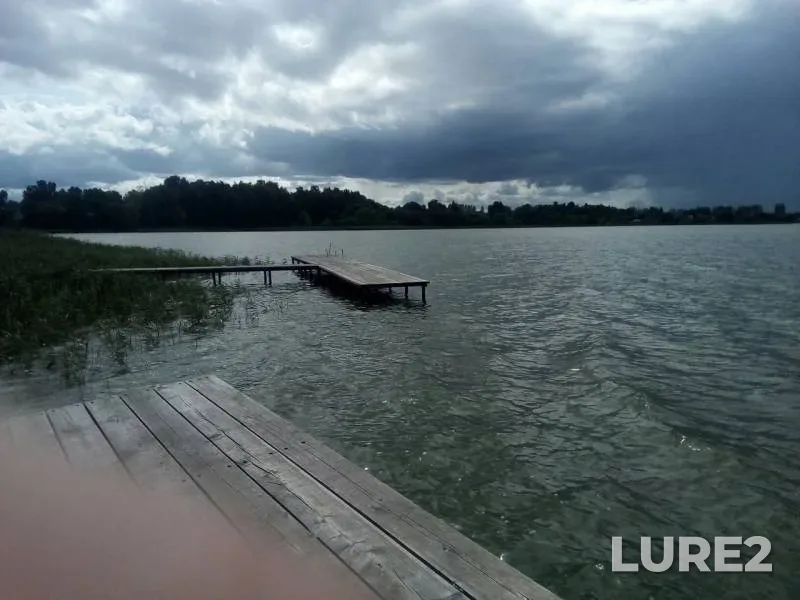 Окунь, Плотва — Городно, 04 авг. 2019 г.