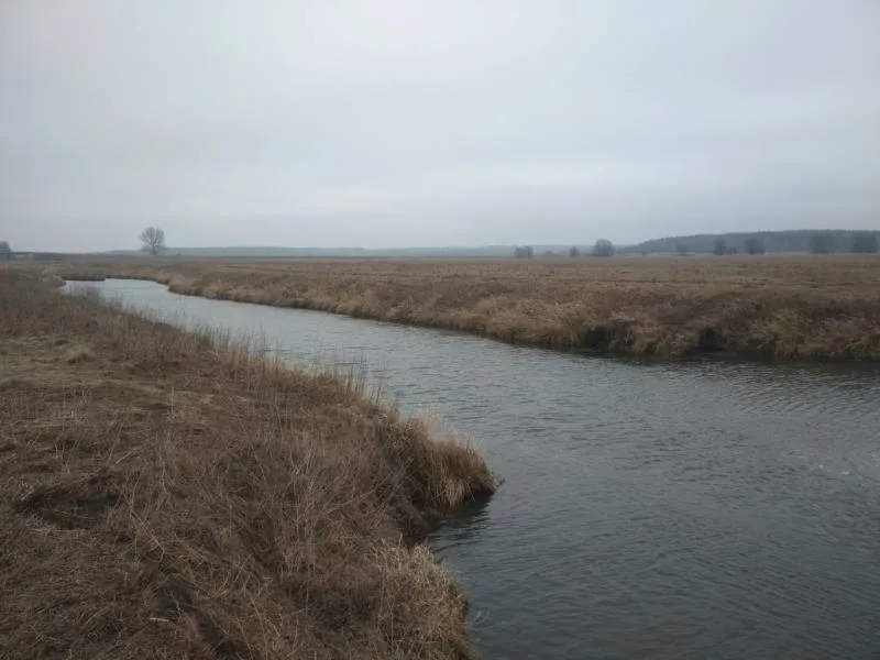 Голавль, Окунь