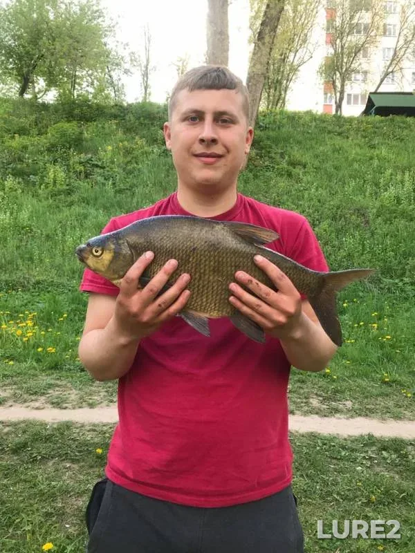 Лещ — Свислочь, 14 мая 2020 г.
