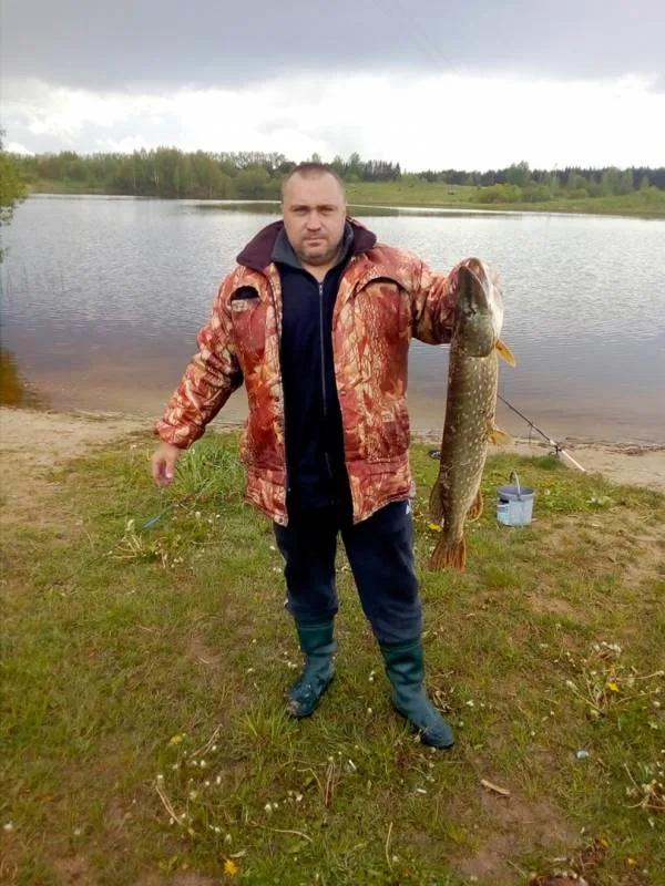 Щука