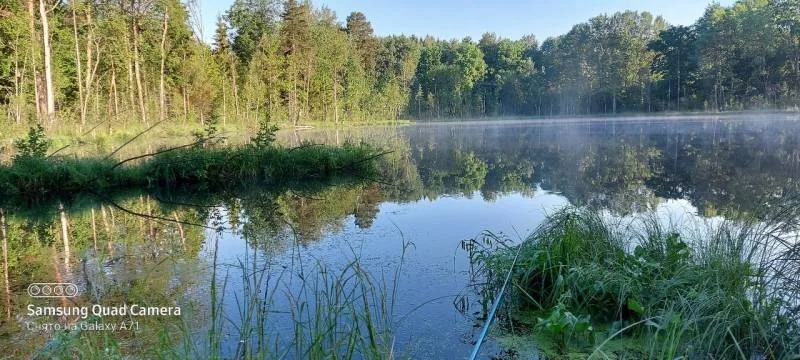 Карась