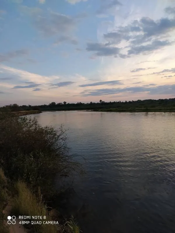 Окунь