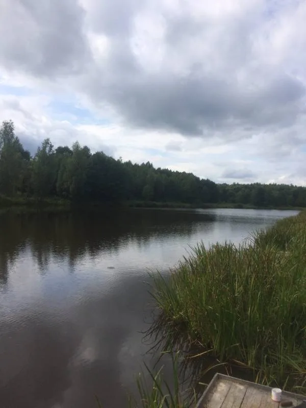 Карп