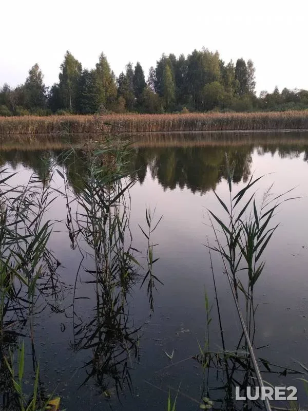 Лещ, Окунь — Рудея, 13 сент. 2020 г.