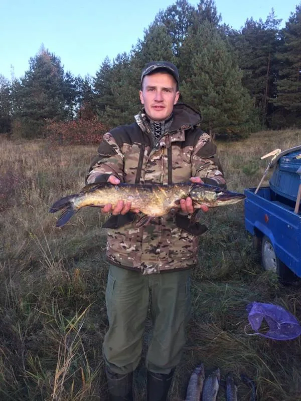 Щука