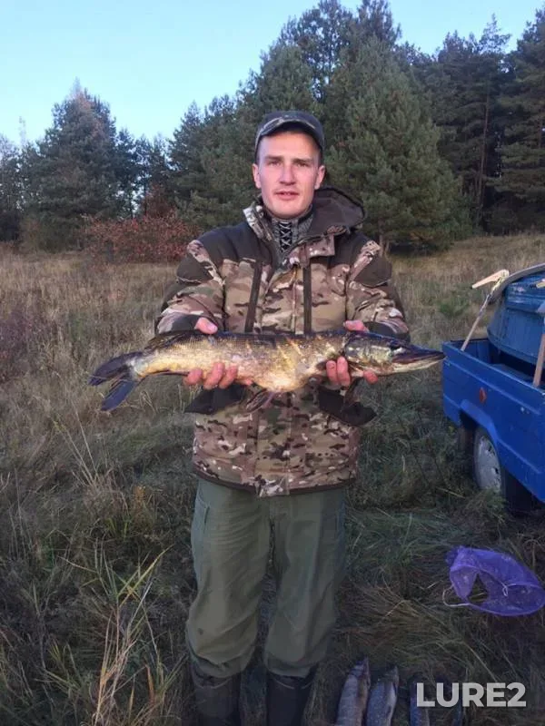 Щука