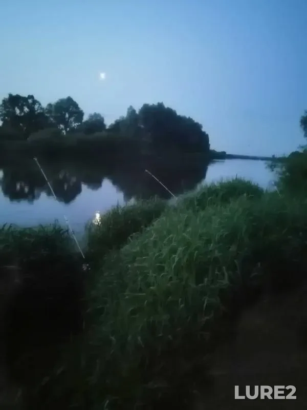 Лещ — Днепр, 26 мая 2019 г.