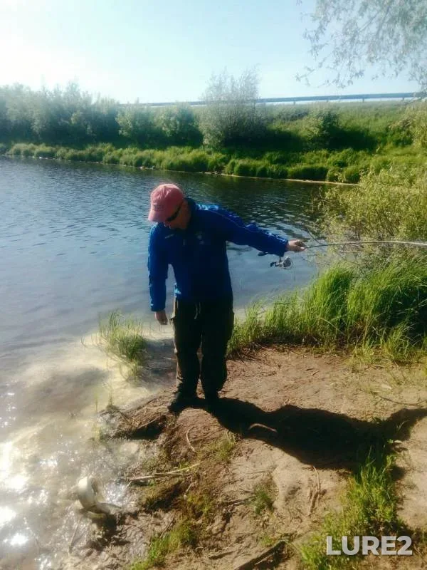 Щука — Большое Комарино, 20 мая 2019 г.