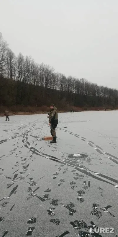 Лещ, Окунь — Добрица, 26 нояб. 2019 г.