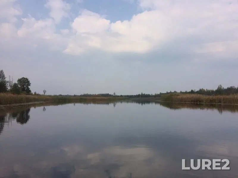 Окунь, Щука — Птичь, 04 окт. 2016 г.