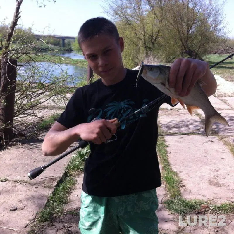 Жерех