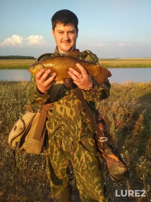 Линь — Гомельская область, Рогачёвский район, 16 июн. 2018 г.