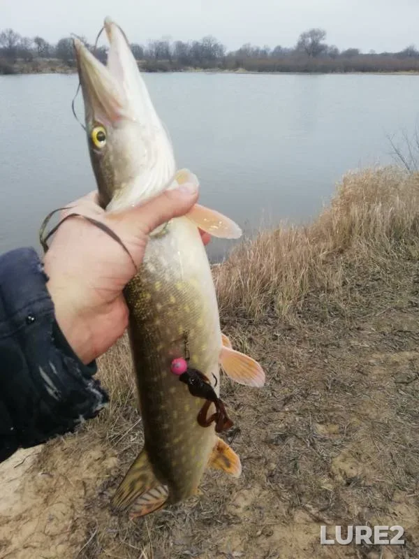 Щука — Окра, 14 дек. 2019 г.