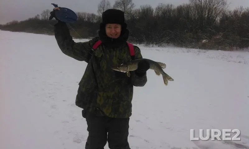 Щука — Сож, 21 дек. 2013 г.