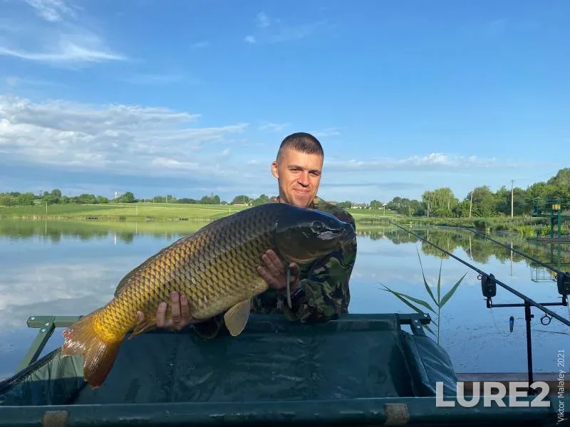 Карп — Рівненська область, 26 июн. 2021 г., 07:04