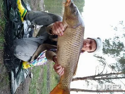Карп