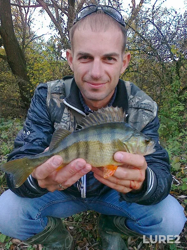 Окунь