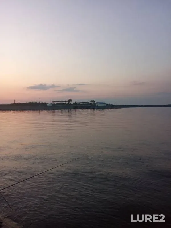 Окунь