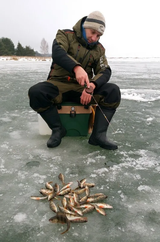 Окунь