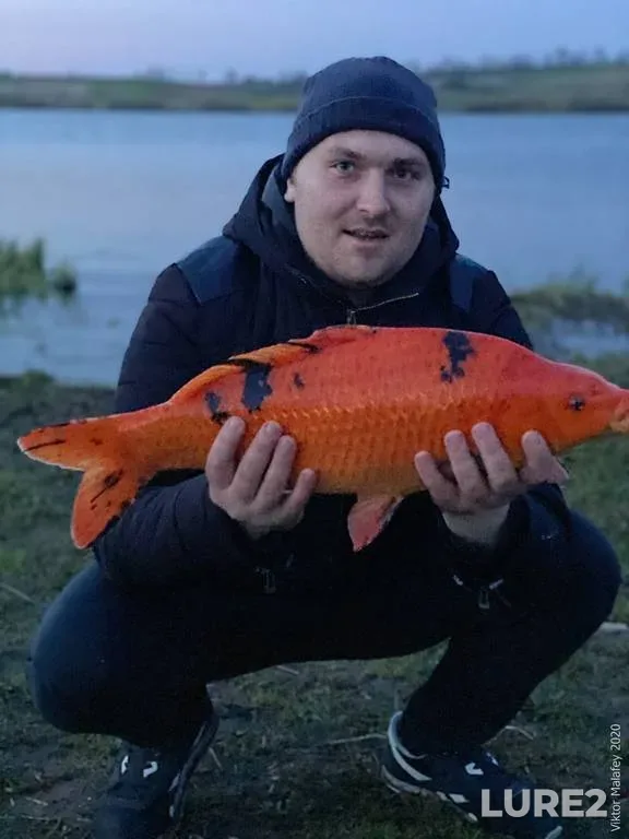 Щука — Корговица, 21 июн. 2019 г.