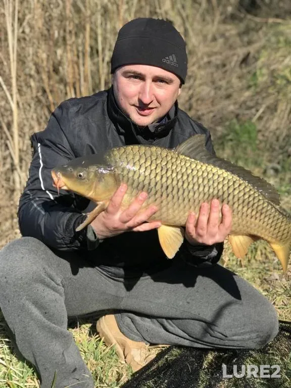 Карп