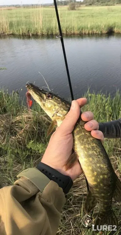 Судак