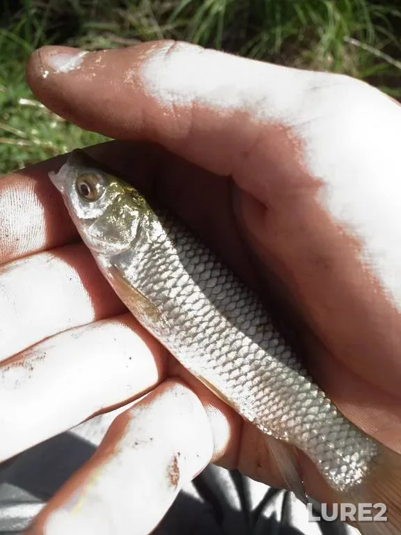 Судак