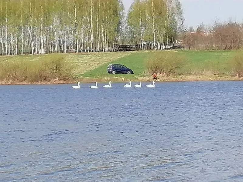 Карась