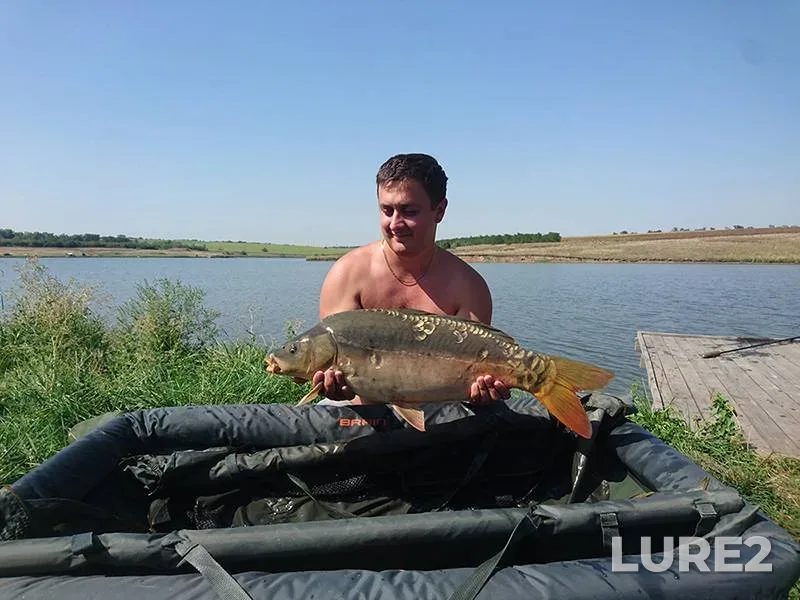 Карп