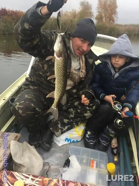 Щука