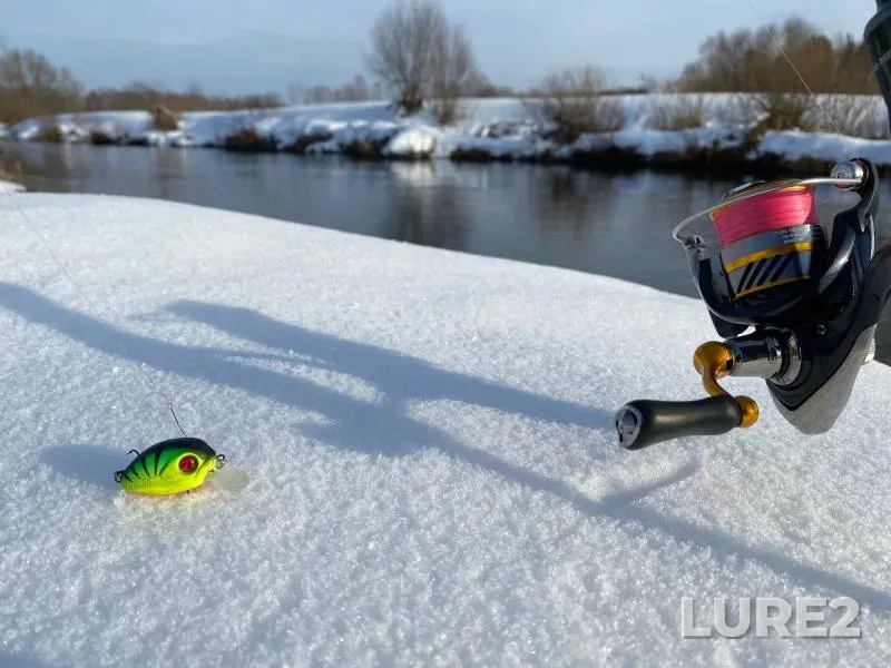 Щука