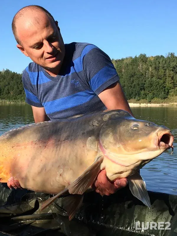 Карп