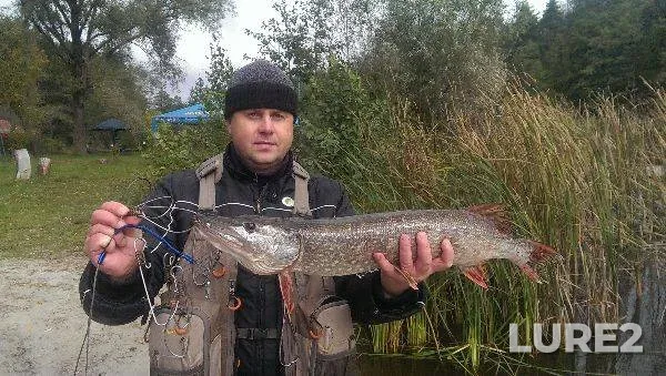 Голавль