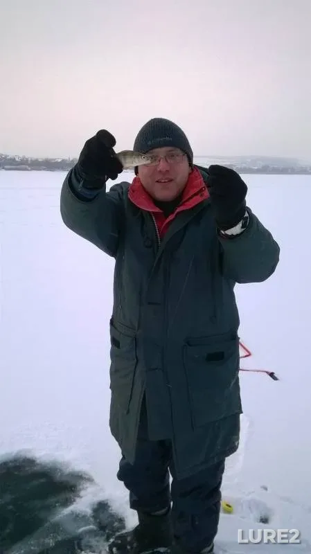 Голавль
