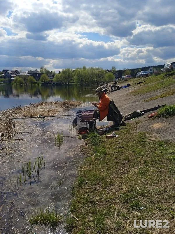 Карп