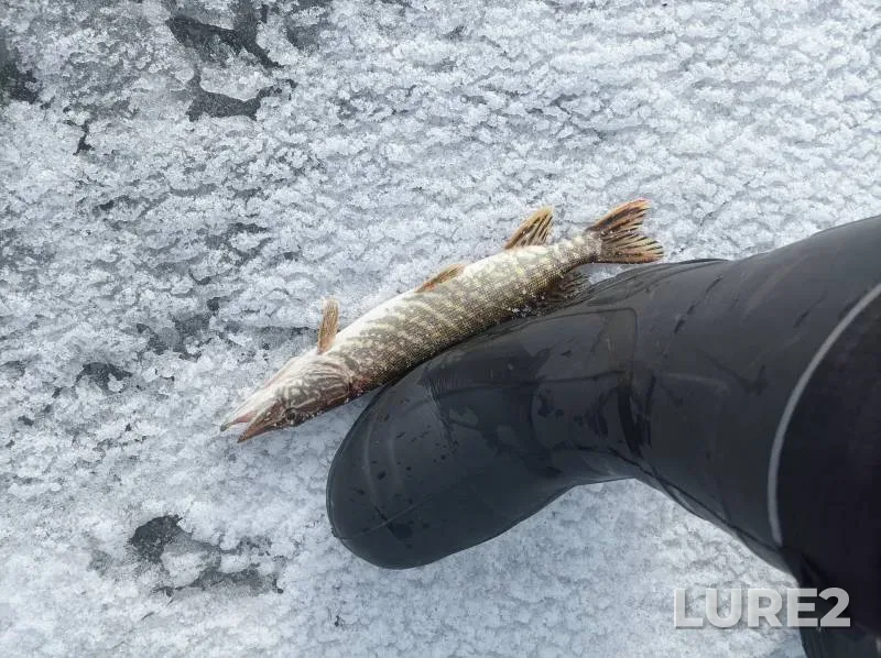 Судак
