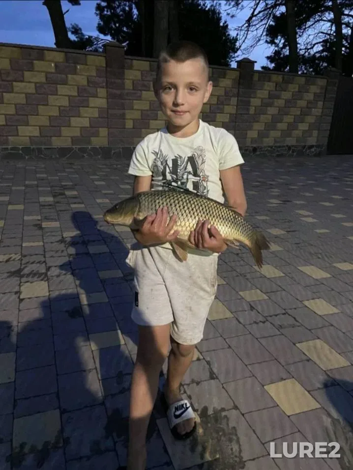 Карп