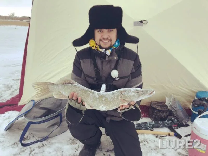 Щука