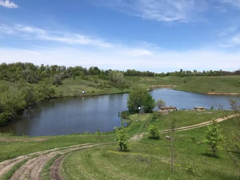 Лещ, Карп