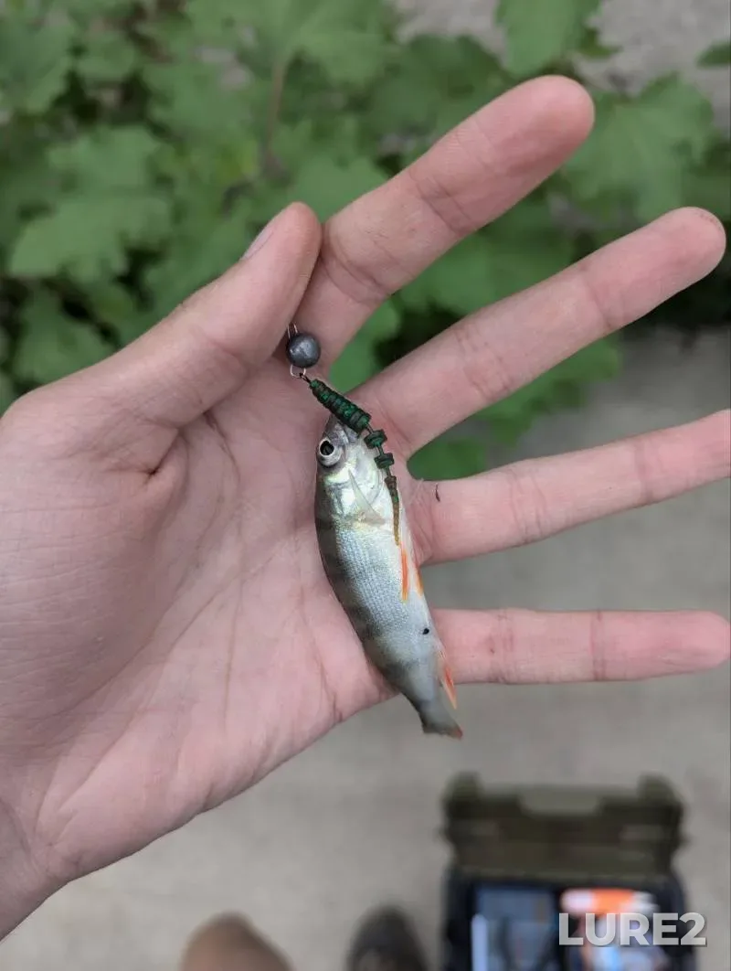 Окунь