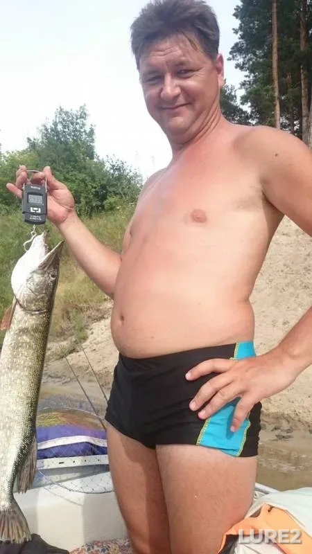 Щука