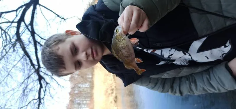Окунь