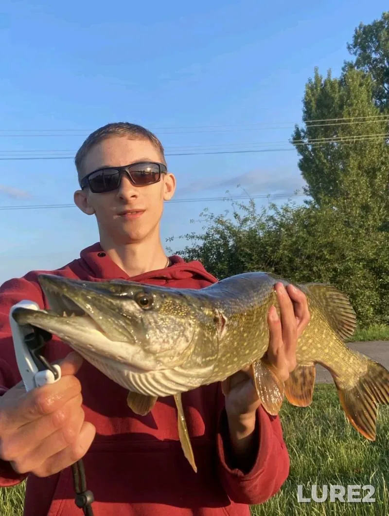 Щука