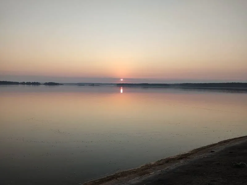 Лещ, Густера