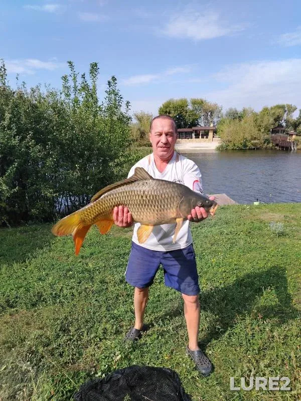 Карп