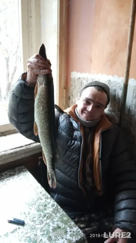 Щука
